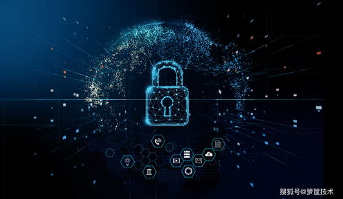 籮筐簽約黑龍江移動(dòng)，助力市場(chǎng)與服務(wù)信息精細(xì)化管理升級(jí)